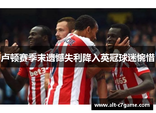 卢顿赛季末遗憾失利降入英冠球迷惋惜 卢顿赛季末遗憾失利降入英冠球迷惋惜